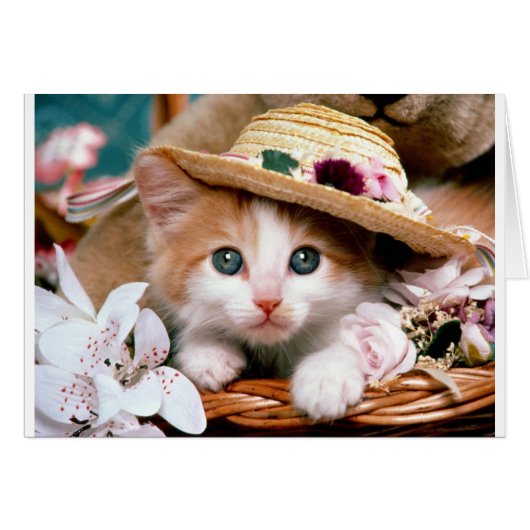 Kitten with straw hat. cards (Front Horizontal)