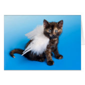 Kitten With Wings (Front Horizontal)
