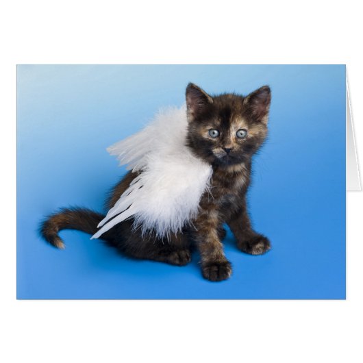 Kitten With Wings Cards (Front Horizontal)