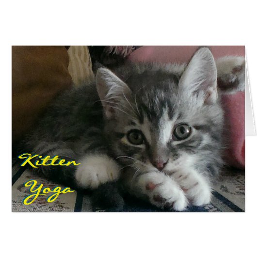 Kitten Yoga (Cheer Card) - Envelope Included Cards (Front Horizontal)
