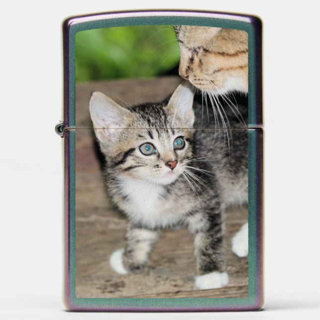 Kitten Zippo Lighter (Front)