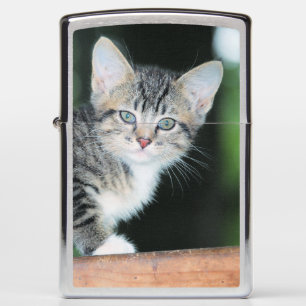 Kitten Zippo Lighter
