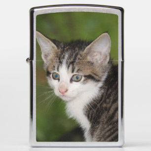 Kitten Zippo Lighter