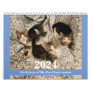 Kittens! 2024 My Feral Lady kitten Calendar