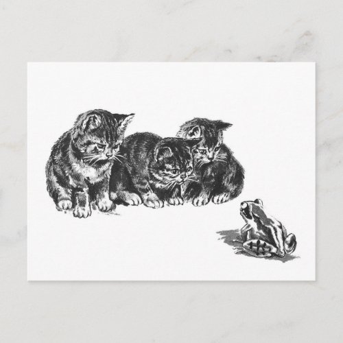 Kittens and a toad by Ernest Nister _ vintage cat  Postcard