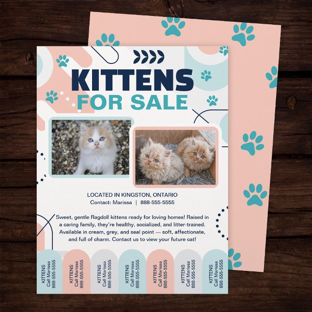 Kittens and Cats For Sale Tear Offs Flyer Template (Creator Uploaded)