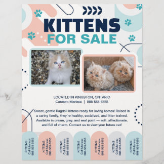 Kittens and Cats For Sale Tear Offs Flyer Template