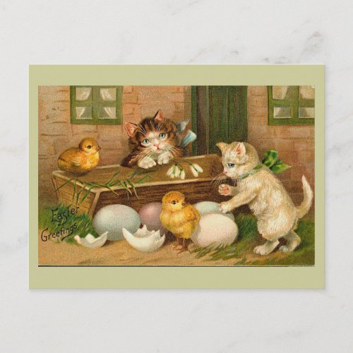 Kittens and Chicks Vintage Easter Greeting Holiday Postcard