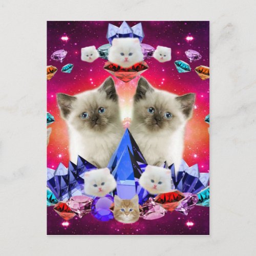 Kittens and Diamonds Postcard