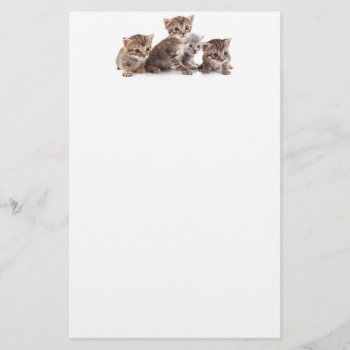 Kittens And More Kittens Stationery by mitmoo3 at Zazzle
