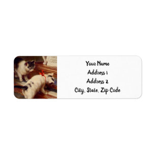Kittens and Piano Label