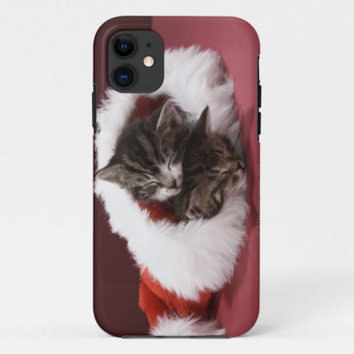 Kittens asleep together in Christmas hat iPhone 11 Case