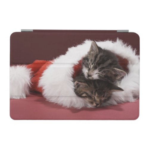 Kittens asleep together in Christmas hat iPad Mini Cover