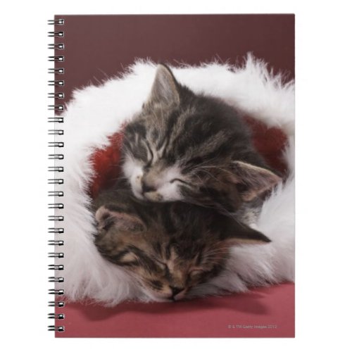 Kittens asleep together in Christmas hat Notebook