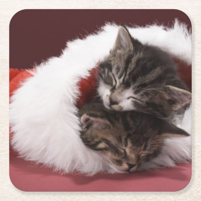 Kittens asleep together in Christmas hat Square Paper Coaster (Front)