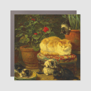 Kittens at Play Car Magnet