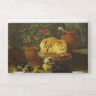 Kittens at Play HP Laptop Skin