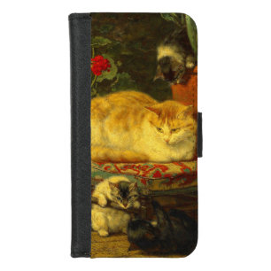 Kittens at Play iPhone 8/7 Wallet Case