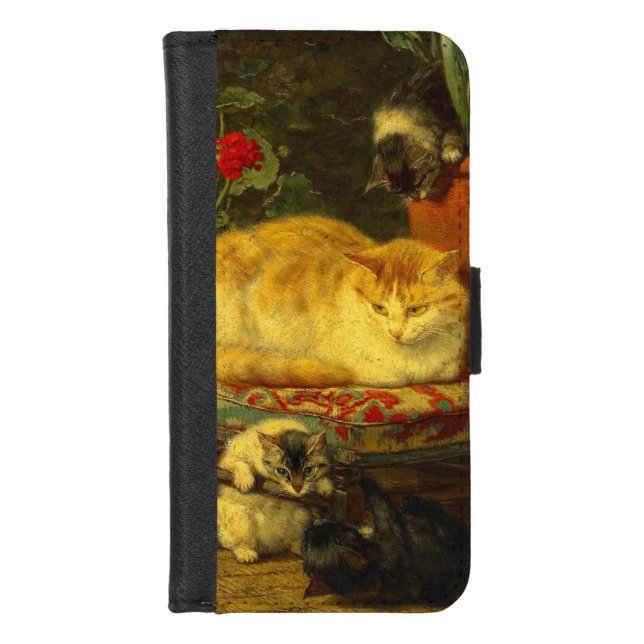 Kittens at Play iPhone Wallet Case (Front)