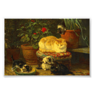 Kittens at Play Photo Print