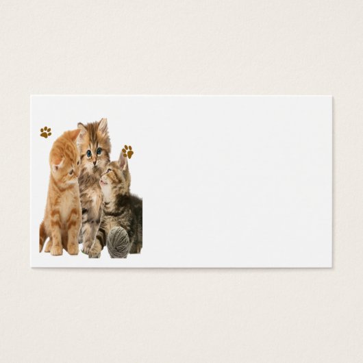 Kittens at play products (Front)