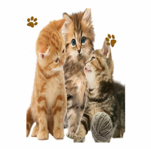 Kittens at play statuette