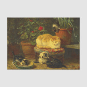 Kittens at Play Tissue Paper