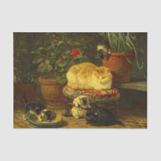 Kittens at Play Tissue Paper