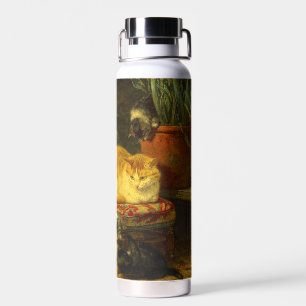 Kittens at Play Water Bottle