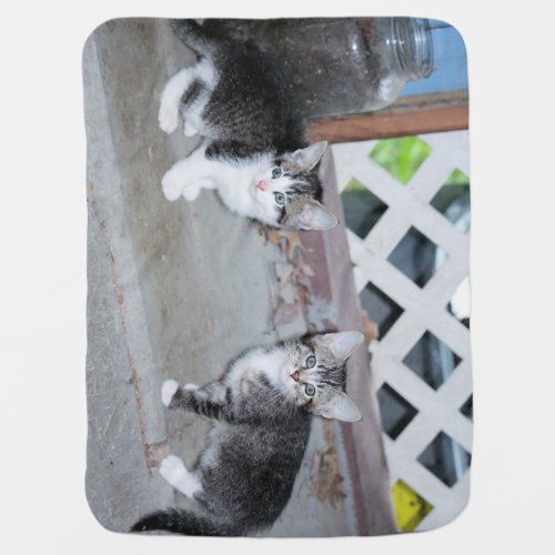 Kittens Baby Blanket