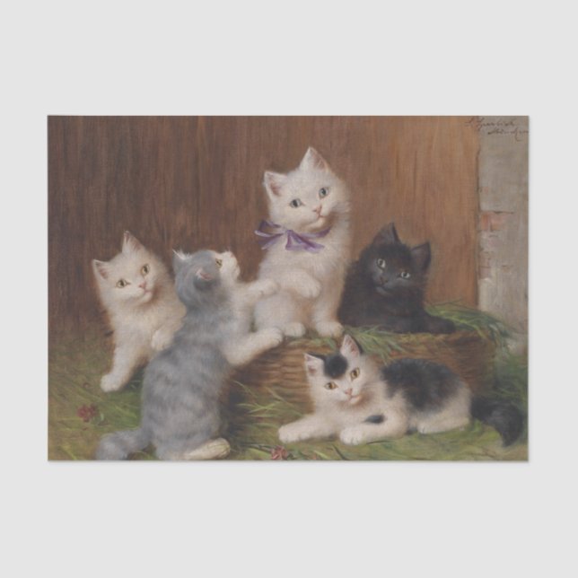 Kittens by Sophie Sperlich Tissue Paper (Front)