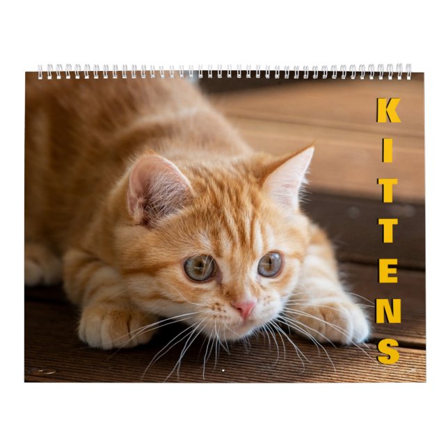 Kittens Calendar (Cover)