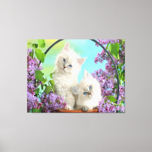 Kittens Canvas Print (Front)