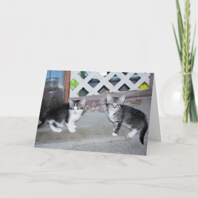 Kittens Card (Front)
