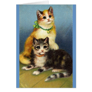 Kittens Cards