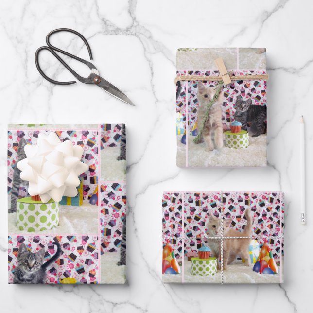 Kittens! (cats) Buffington and Patton's Birthday Wrapping Paper Sheets (Front)