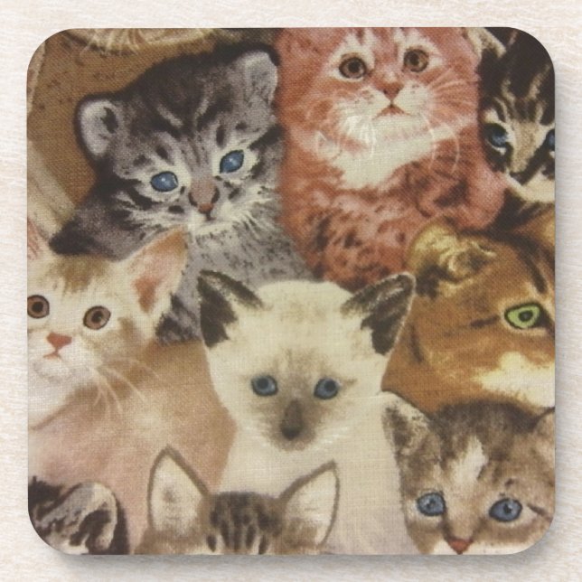 Kittens Coaster (Front)
