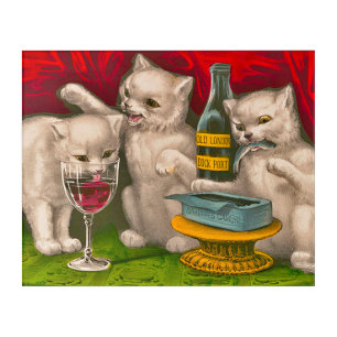 Kittens drinking and eating sardine fish acrylic print