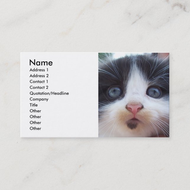 Kittens Face Business Card (Front)