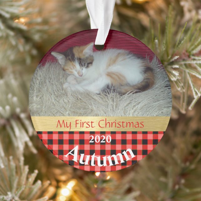 Kitten's First Christmas Photo Ornament (Tree)
