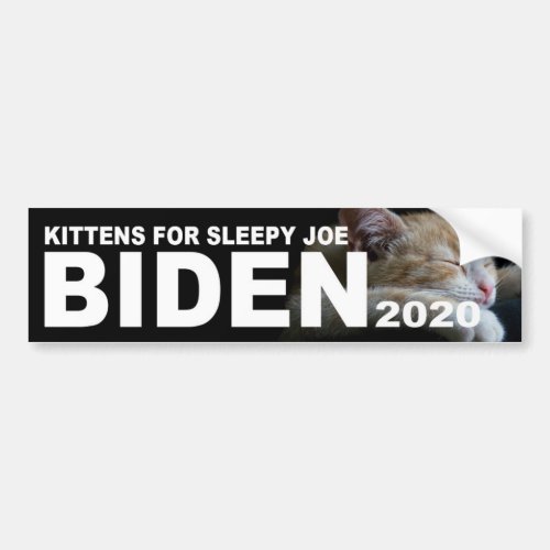 Kittens for Sleepy Joe Biden 2020 Bumper Sticker