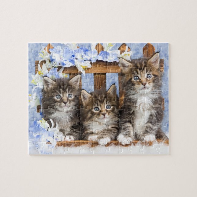 Kittens Game Puzzle (Horizontal)