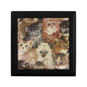 Kittens Gift Box