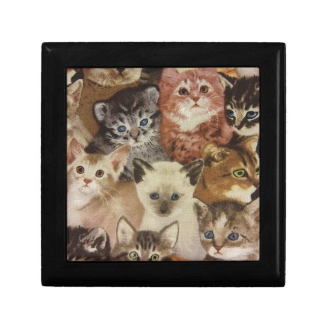 Kittens Gift Box (Front)