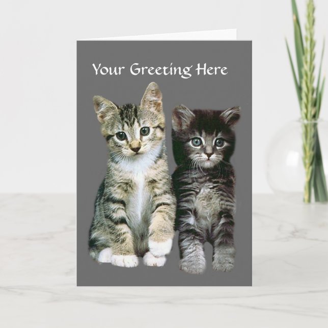 Kittens Greeting Card (Front)