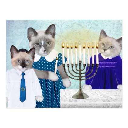 Kittens&#39; Hanukkah Postcard