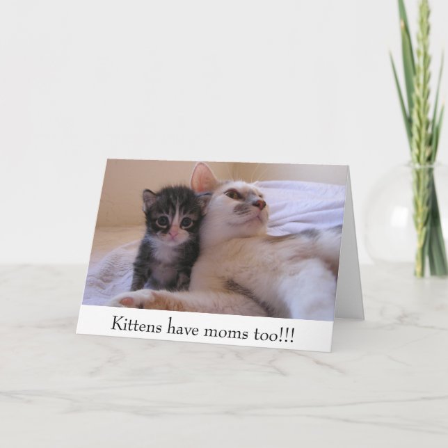 Kittens have moms too!!! card (Front)