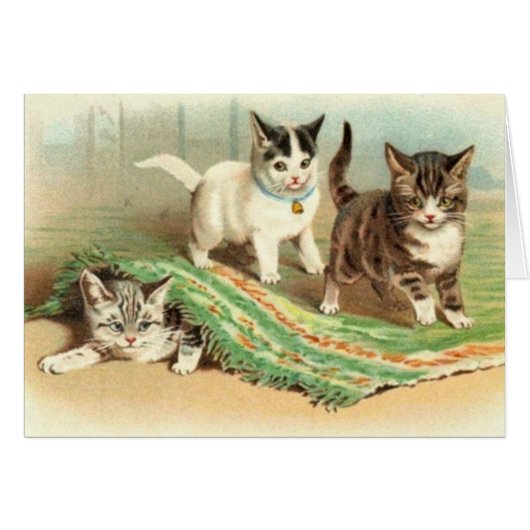 Kittens Hide and Seek Cards (Front Horizontal)
