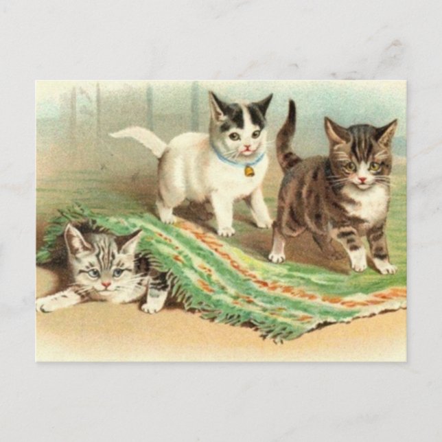 Kittens Hide and Seek Postcard (Front)