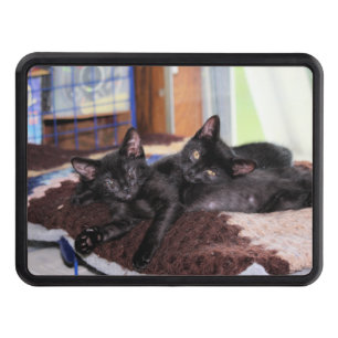 Kittens hitch cover